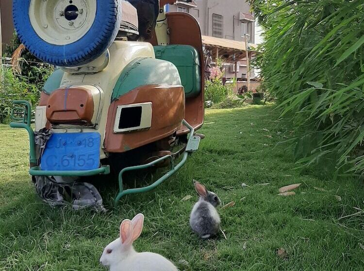 فندق Natraj & Resort