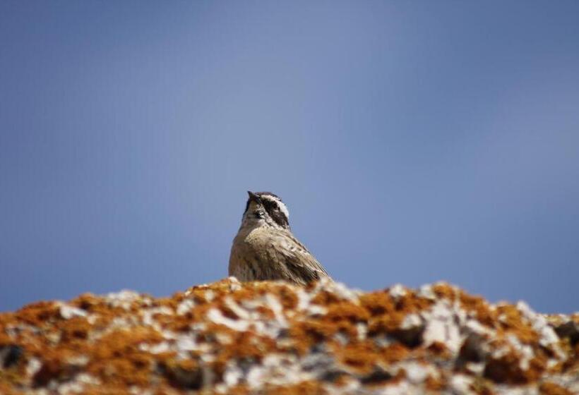 هتل Sultan Pansion Bird Paradise