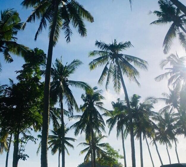 فندق The Vagary Vibes