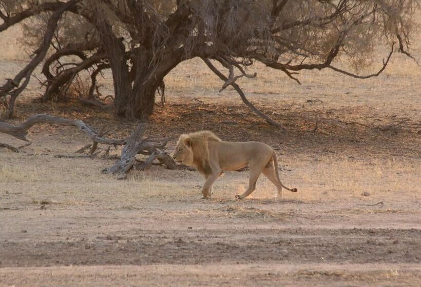 בית מלון כפרי Xaus Lodge