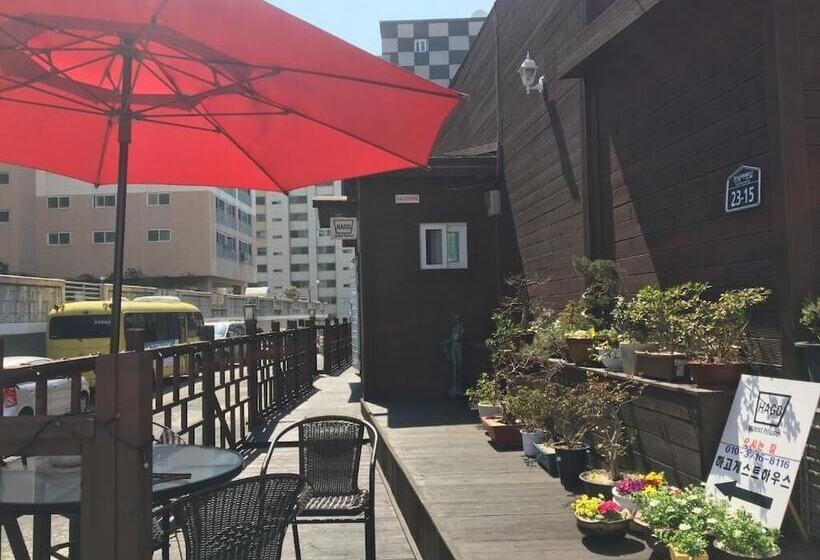 Pensão Hago Guest House