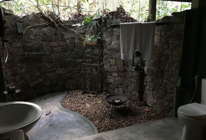 ペンション Rambas Reserve