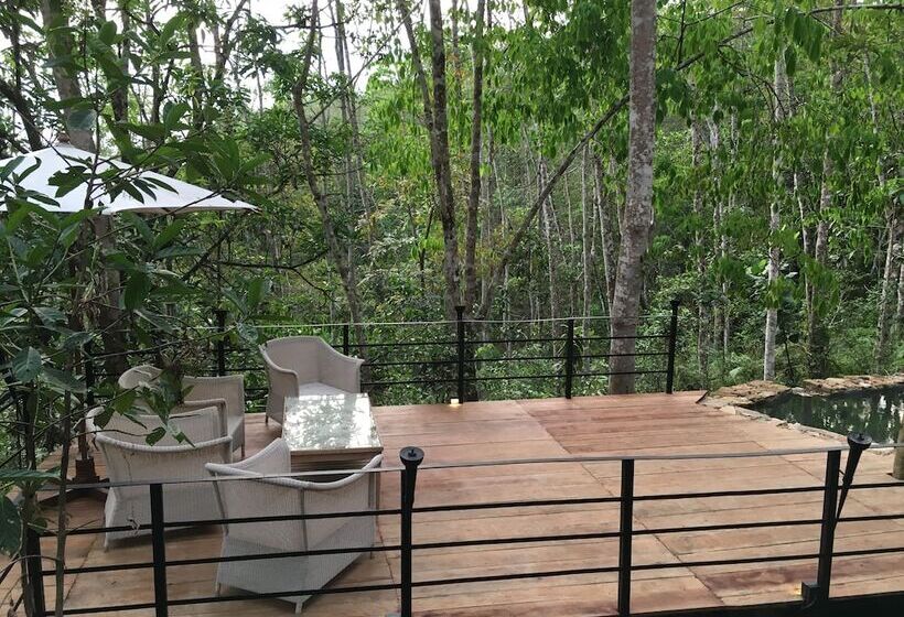 ペンション Rambas Reserve