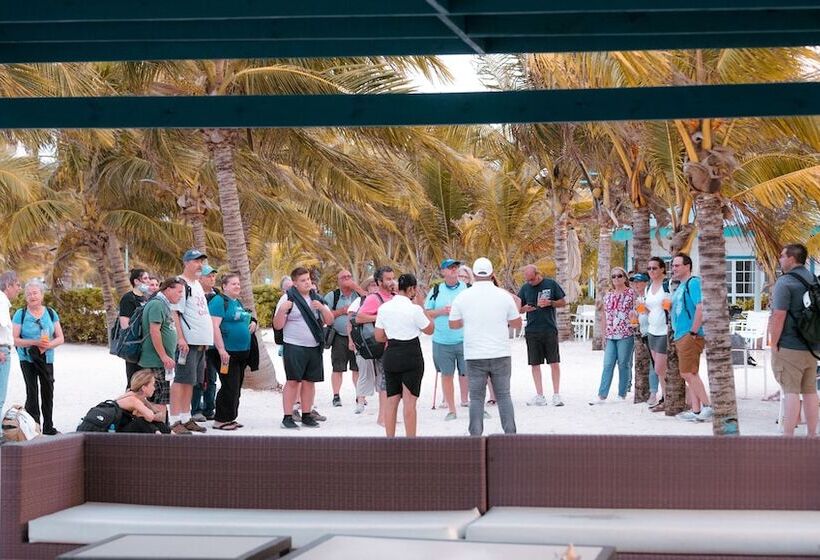 בית מלון כפרי Belize Dive Haven
