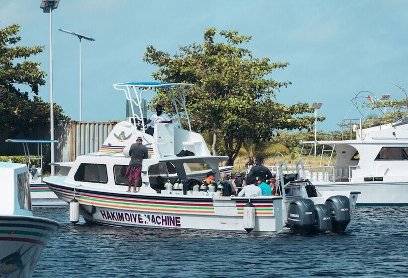 בית מלון כפרי Belize Dive Haven
