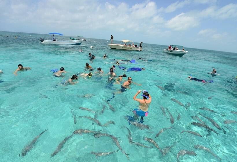 בית מלון כפרי Belize Dive Haven