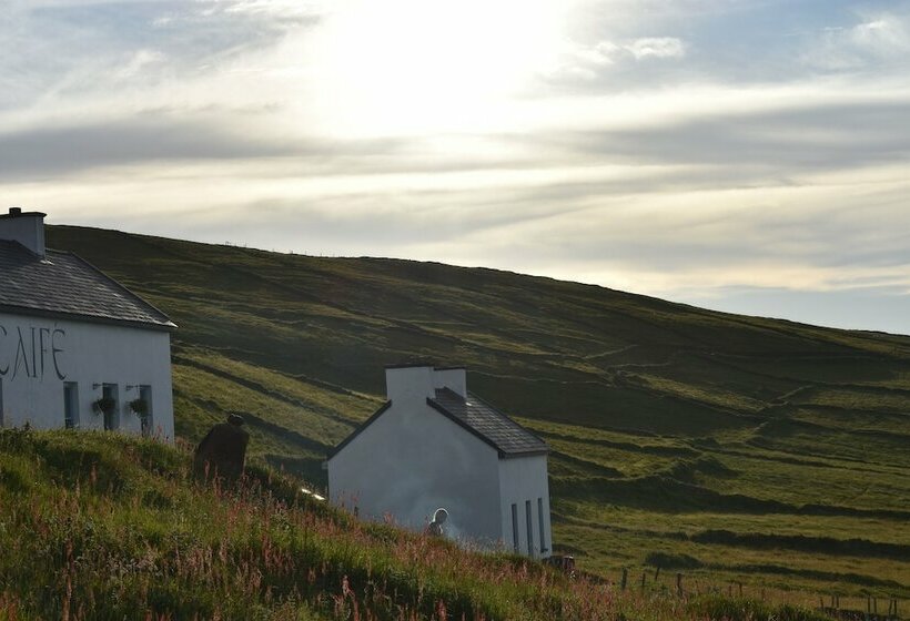 ホテル Great Blasket Island Accommodation