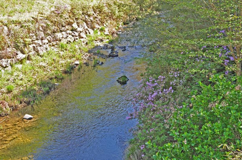 فندق Nature Resort In Shimanto