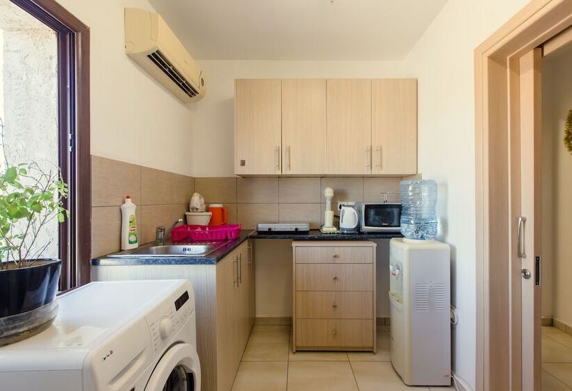פנסיון Acticon Rooms Larnaca