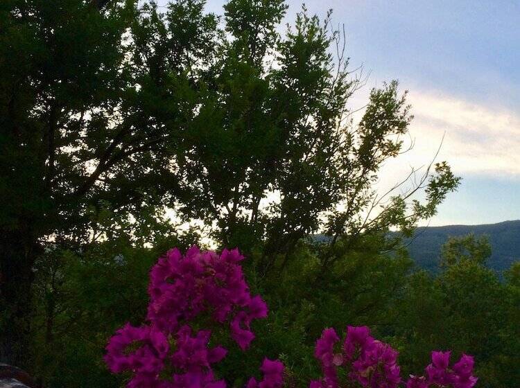 펜션 Gioi Villa Rizzo Lovely Rooms