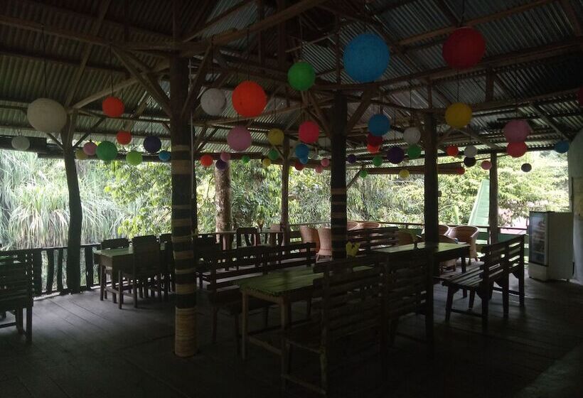 민박 Green Lodge Tangkahan