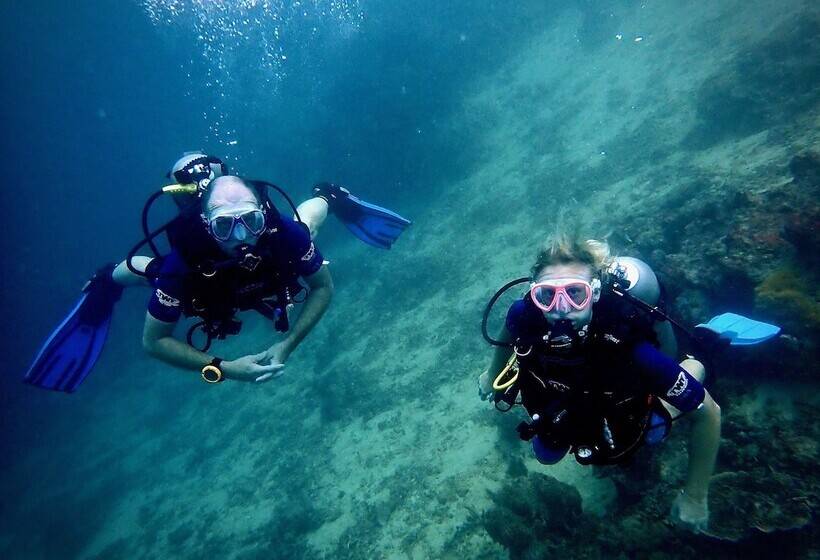 Отель Alegria Dive Resort