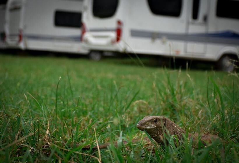 ホテル Big Game On Wheels   Wilpattu