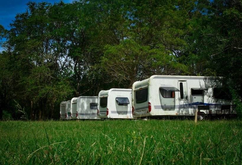 ホテル Big Game On Wheels   Wilpattu