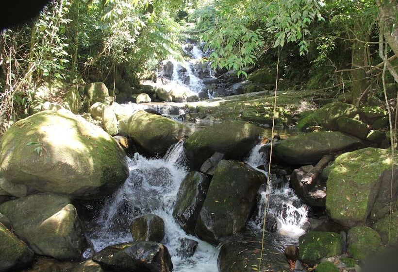 Junglez Eco Hostel
