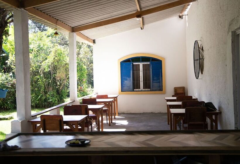 Junglez Eco Hostel