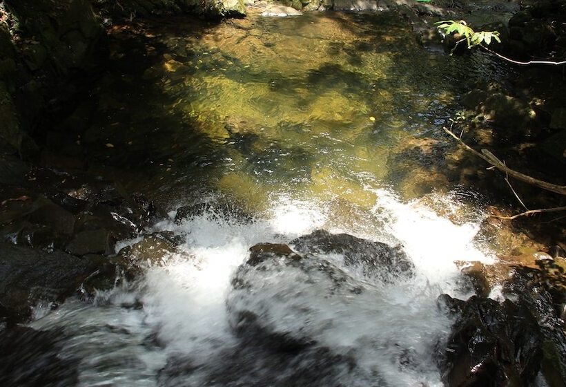 Junglez Eco Hostel