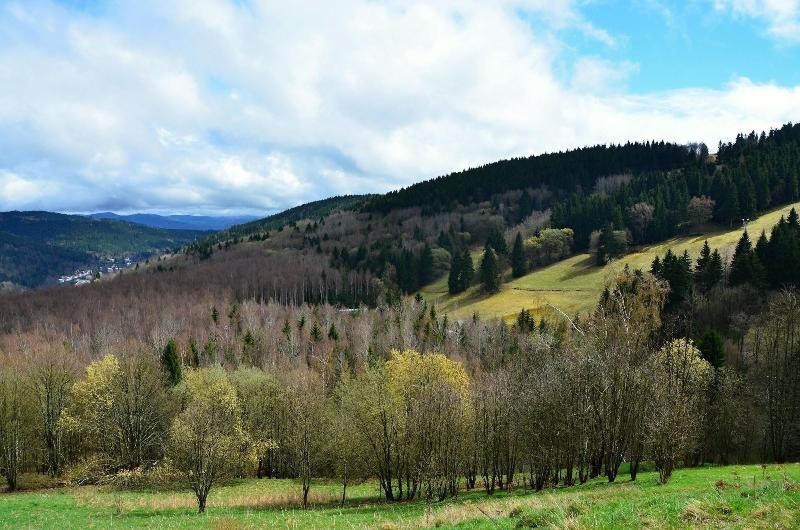 Pytloun Wellness Hotel Hasištejn