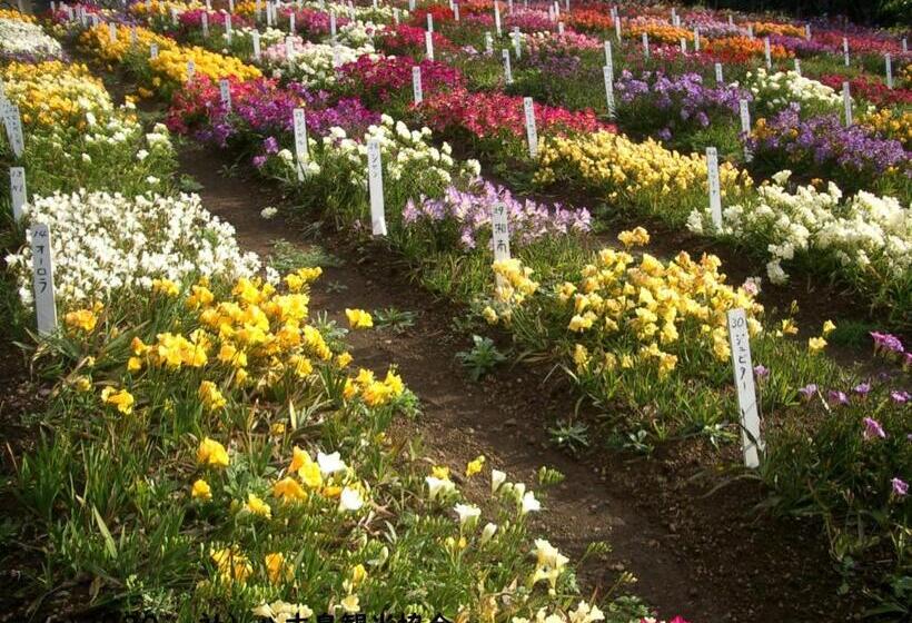 日式旅馆 Kokumin Shukusha Sun Marina