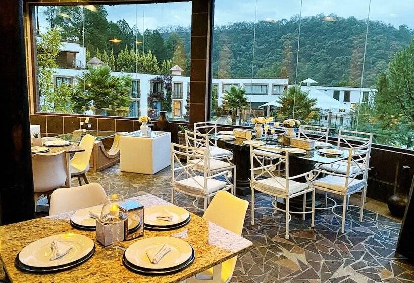 هتل And Suites Mansion San Antonio