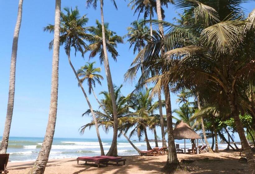 ホテル Ankobra Beach Resort