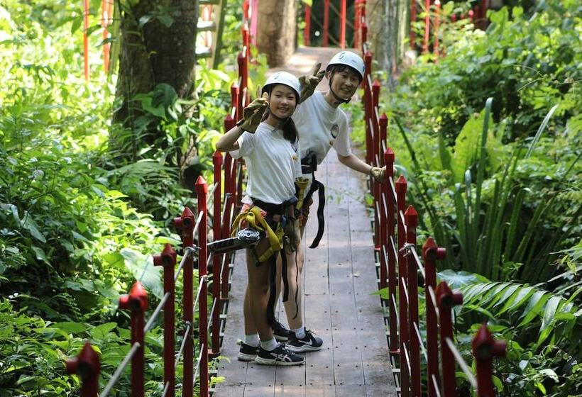 هتل Calico Jack S Village
