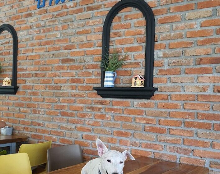 هتل Ginger Bread House  Pet Lover Resort