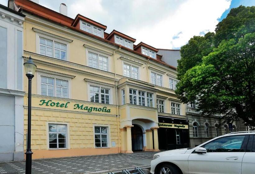 בית מלון כפרי Magnolia