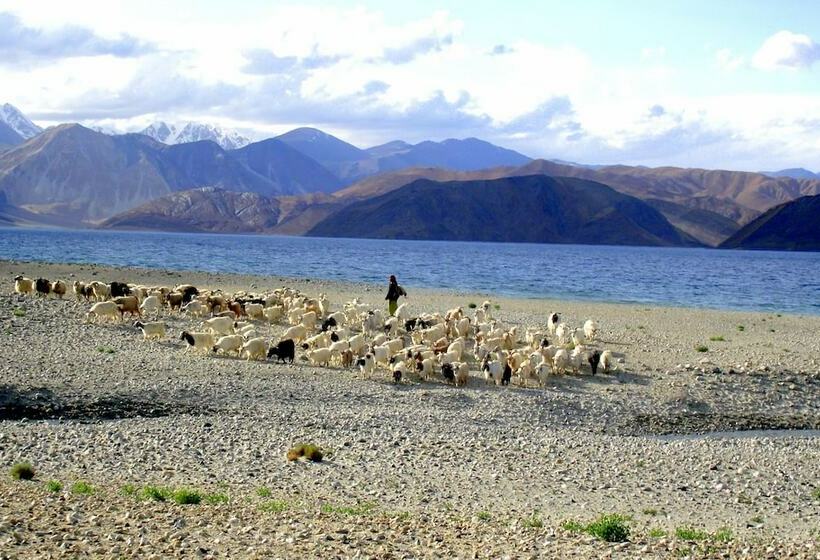 בית מלון כפרי Nomad Camp