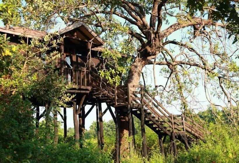 ホテル Pugdundee Safaris   Pench Tree Lodge