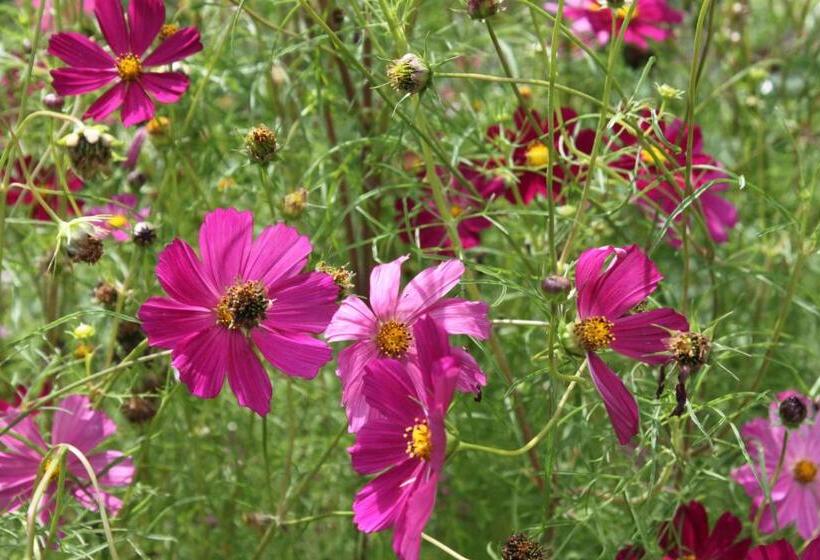 ペンション Uroczysko