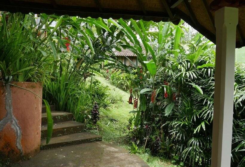 Bed and Breakfast Bali Mountain Retreat
