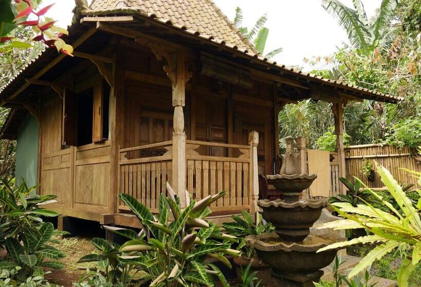 Bed and Breakfast Bali Mountain Retreat
