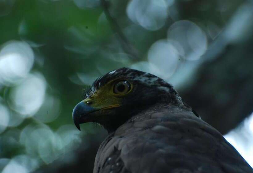 ベッドアンドブレックファースト L.l.tourist Inn & Safari Jeeps