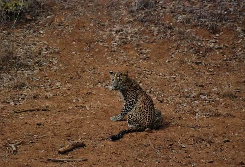 ベッドアンドブレックファースト L.l.tourist Inn & Safari Jeeps