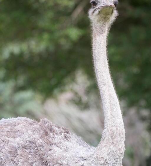 בית מלון כפרי Areena Riverside Resort