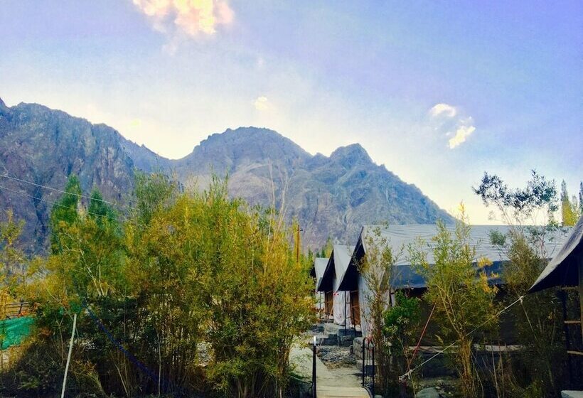 فندق D Camp