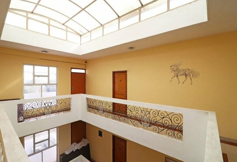 فندق Divine Inn By Oyo Rooms