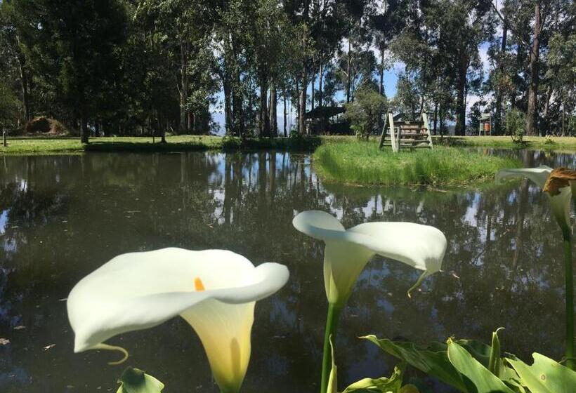 فندق Hacienda Las Cuevas Terra Lodge