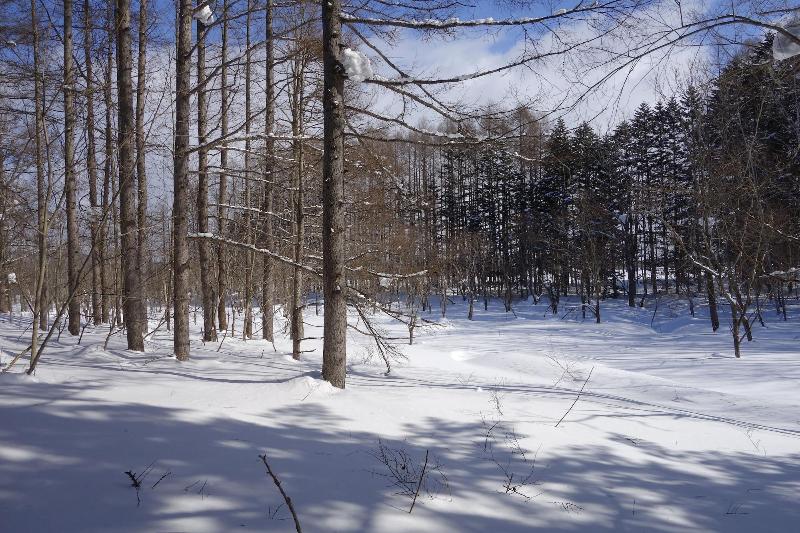 فندق Miru Niseko