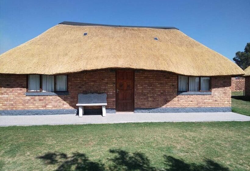 ホテル Pepe Piatto Lodge