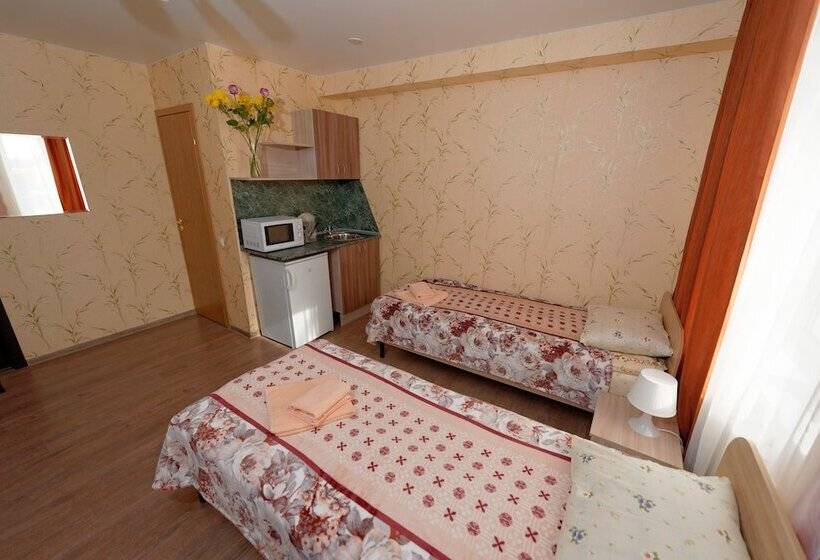 هتل Piterdom Novaya