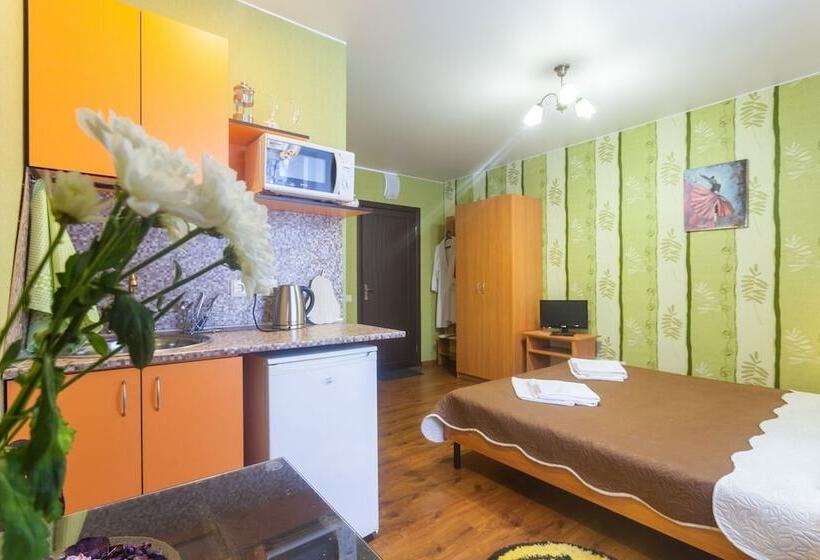 هتل Piterdom Novaya