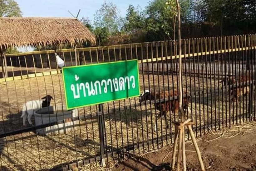 هتل River & Flowers Resort