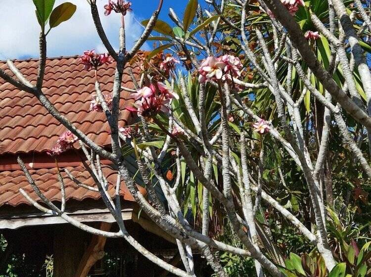酒店 Wangnamkhao Resort