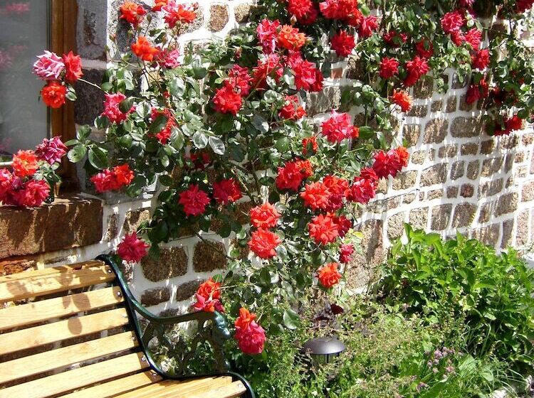 La Cloue B&b
