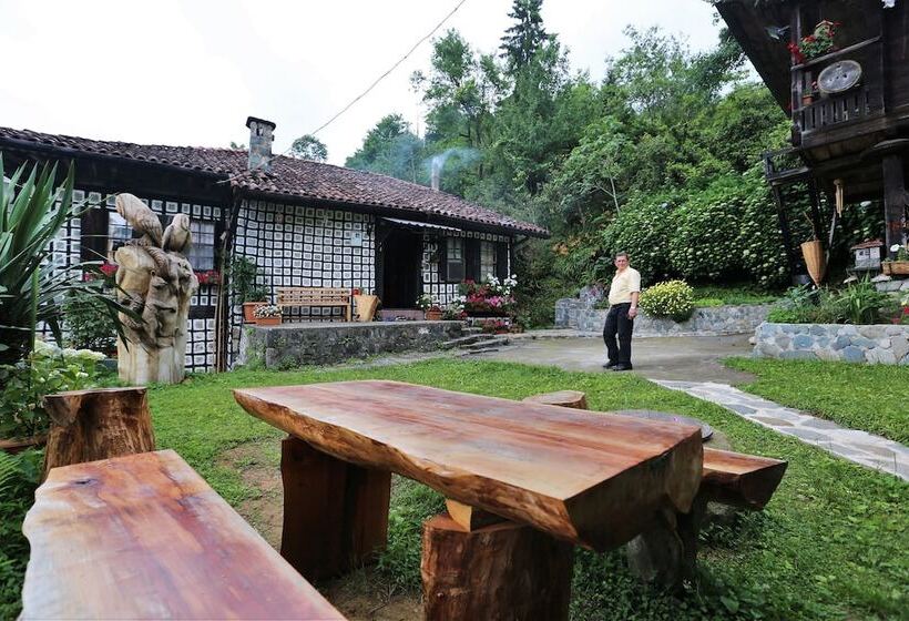 ペンション Satiroglu Konagi