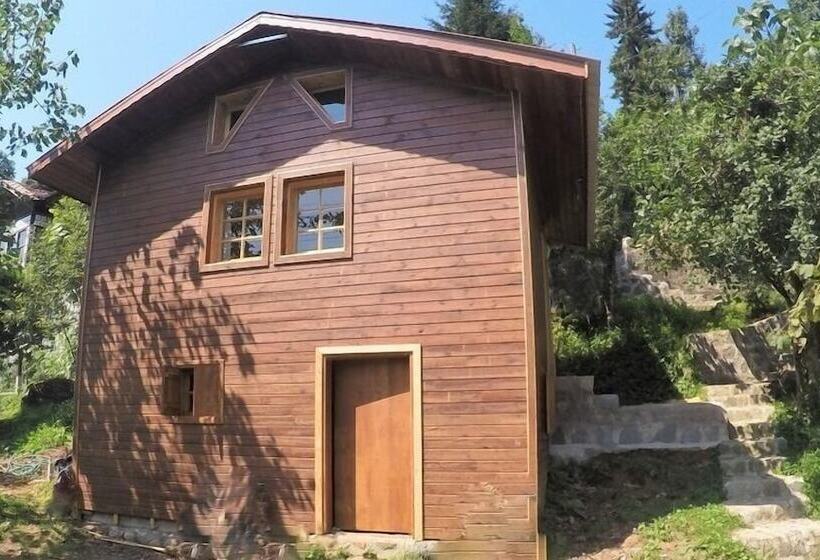 ペンション Satiroglu Konagi