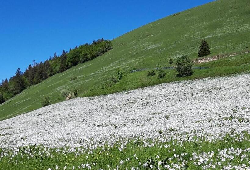 مبيت وإفطار Valreley, Chambres Et Table D Hôtes Eco Friendly Avec Bain Nordique Au Sud Du Massif Du Jura