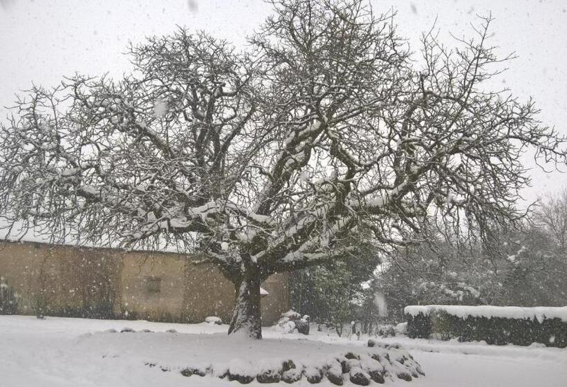 Gîte Des Etangs De Beaulieu